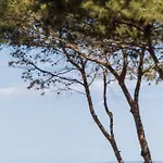 Le Domaine De La Mer - Appartements De Plage Dans Un Cadre Enchanteur