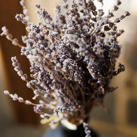 Le Domaine De La Mer - Appartements De Plage Dans Un Cadre Enchanteur *