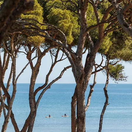 Le Domaine De La Mer - Appartements De Plage Dans Un Cadre Enchanteur Apartment Hyeres