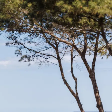 Domaine De La - Les Pieds Dans L'eau