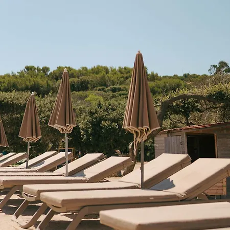 Appartement Le Domaine De La - De Dans Un Cadre Enchanteur Hyères