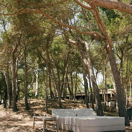 Le Domaine De La Mer - Appartements De Plage Dans Un Cadre Enchanteur * Hyères