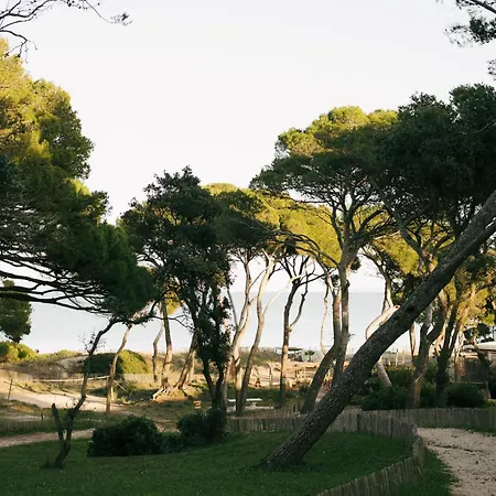Le Domaine De La - De Dans Un Cadre Enchanteur Hyères