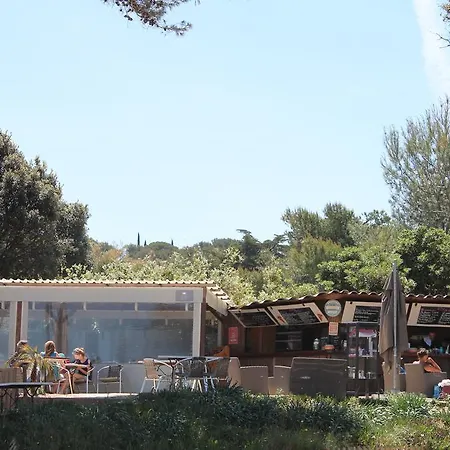 Lejlighed Le Domaine De La Mer - Appartements De Plage Dans Un Cadre Enchanteur *