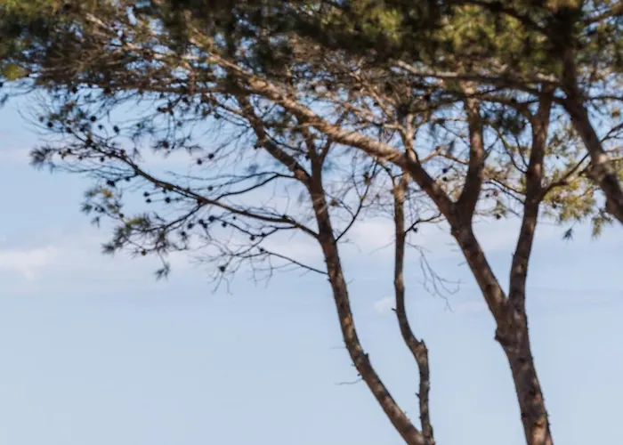 Le Domaine De La - De Dans Un Cadre Enchanteur