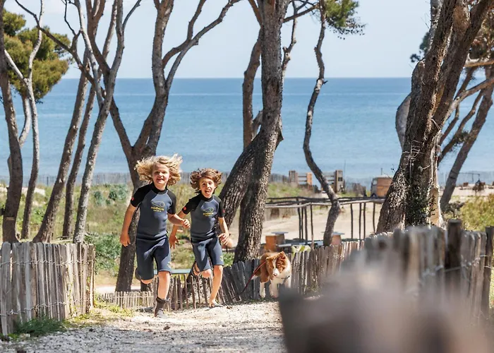 Daire Le Domaine De La - De Dans Un Cadre Enchanteur Hyères