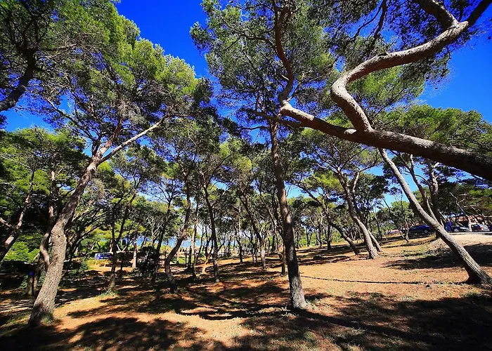 Daire Le Domaine De La - De Dans Un Cadre Enchanteur *